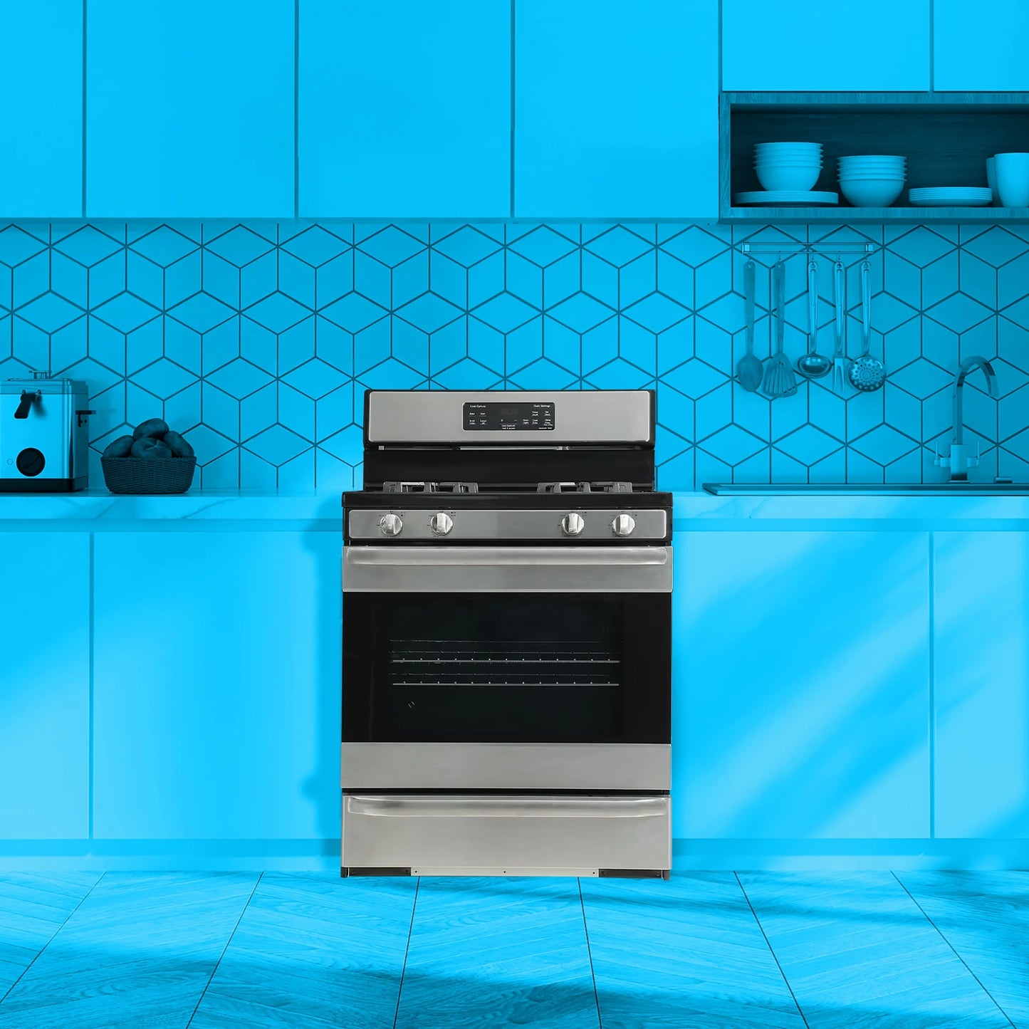 Element 30 Inch 4 Burners 5.2 cu. ft. Freestanding Gas Range, Stainless Steel