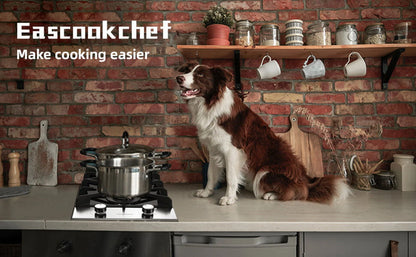 Gas Cooktop 12 inch Eascookchef Bulit-in Gas Stove Top 2 Burners NG/LPG Convertible Dual Burners