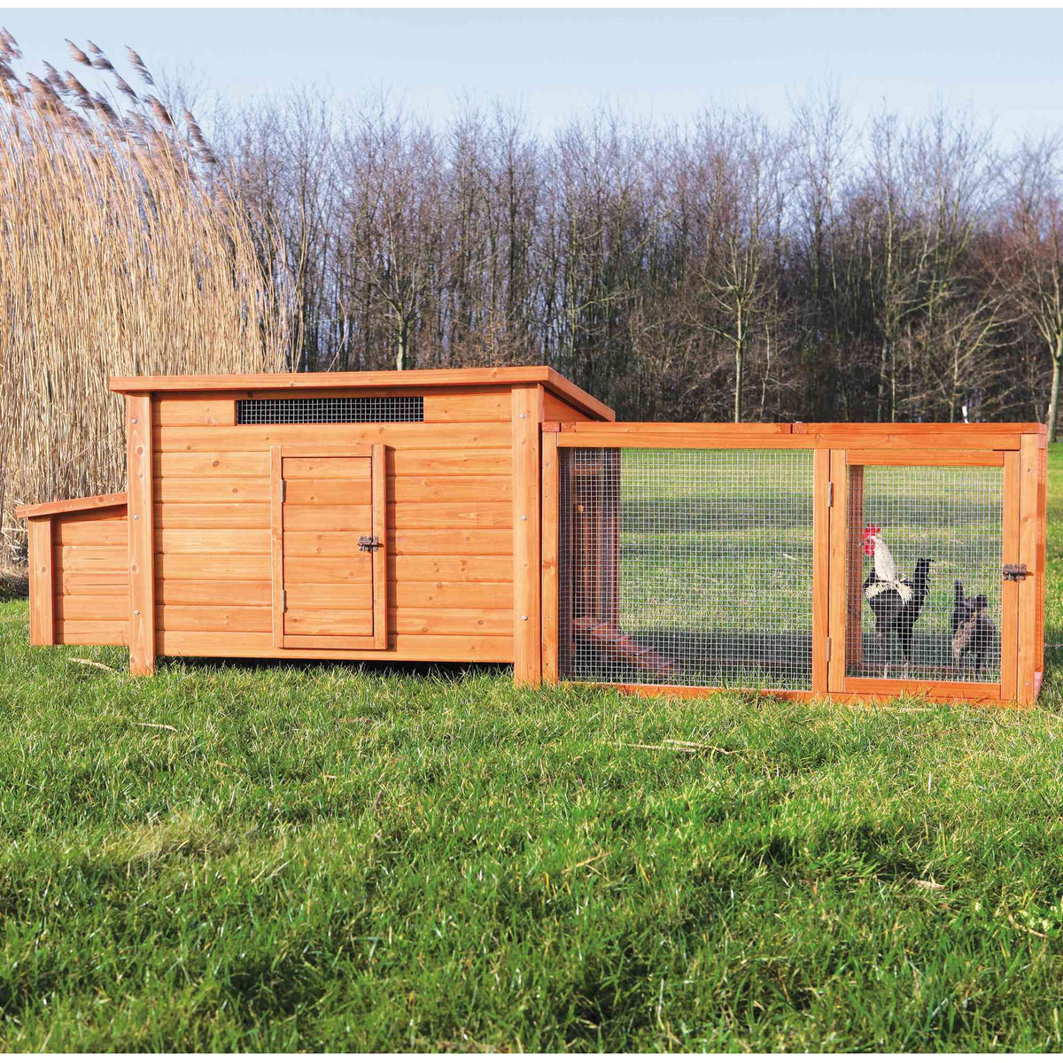 TRIXIE Weatherproof Outdoor Wooden Chicken Coop with 2 Nesting Boxes & Run, Brown