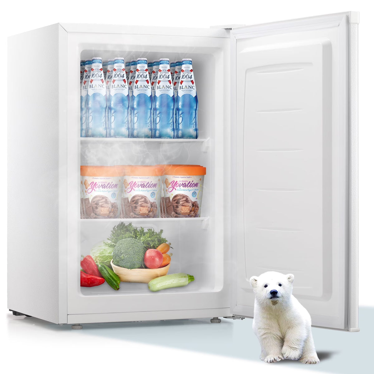 Electactic Upright Freezer, Energy Saving 3.0 Cu.ft Single Door Compact Upright Freezer with Reversible Door(Black)