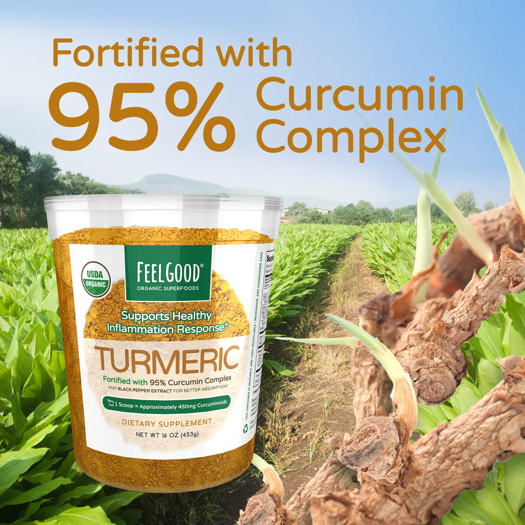FEELGOOD USDA Organic Turmeric Powder, 16 oz