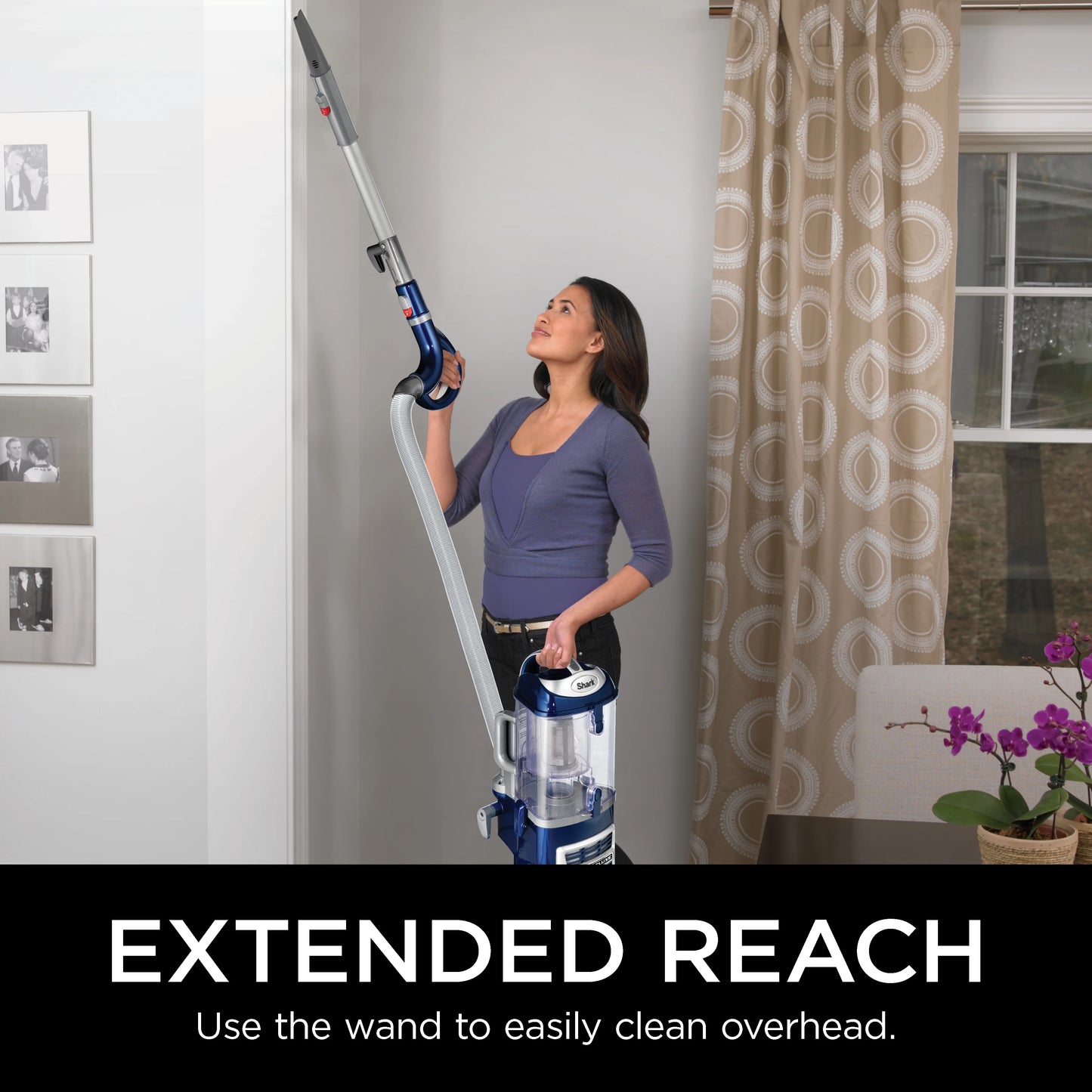 Shark? Navigator? Lift-Away? Deluxe Upright Vacuum