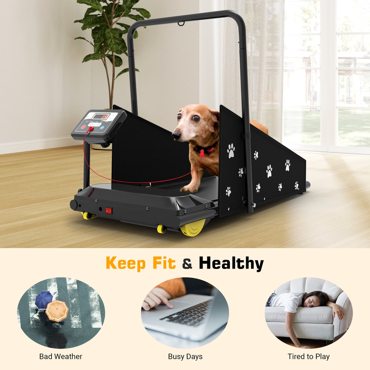 Hapycity Dog Treadmill, Indoor Pet Fitness Machine for Small & Medium Dogs, 265LB Capacity, LCD Display & Remote