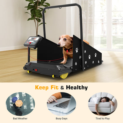Hapycity Dog Treadmill, Indoor Pet Fitness Machine for Small & Medium Dogs, 265LB Capacity, LCD Display & Remote