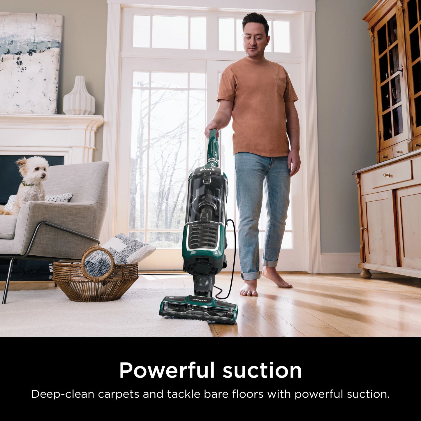 Shark Upright Vacuum, Navigator Swivel Pro Plus, Pet Friendly, Bagless, Powerful Suction, Hard Floor and Carpet, Large Dust Cup, Allergen Control, Swivel Steering, NV250, Green