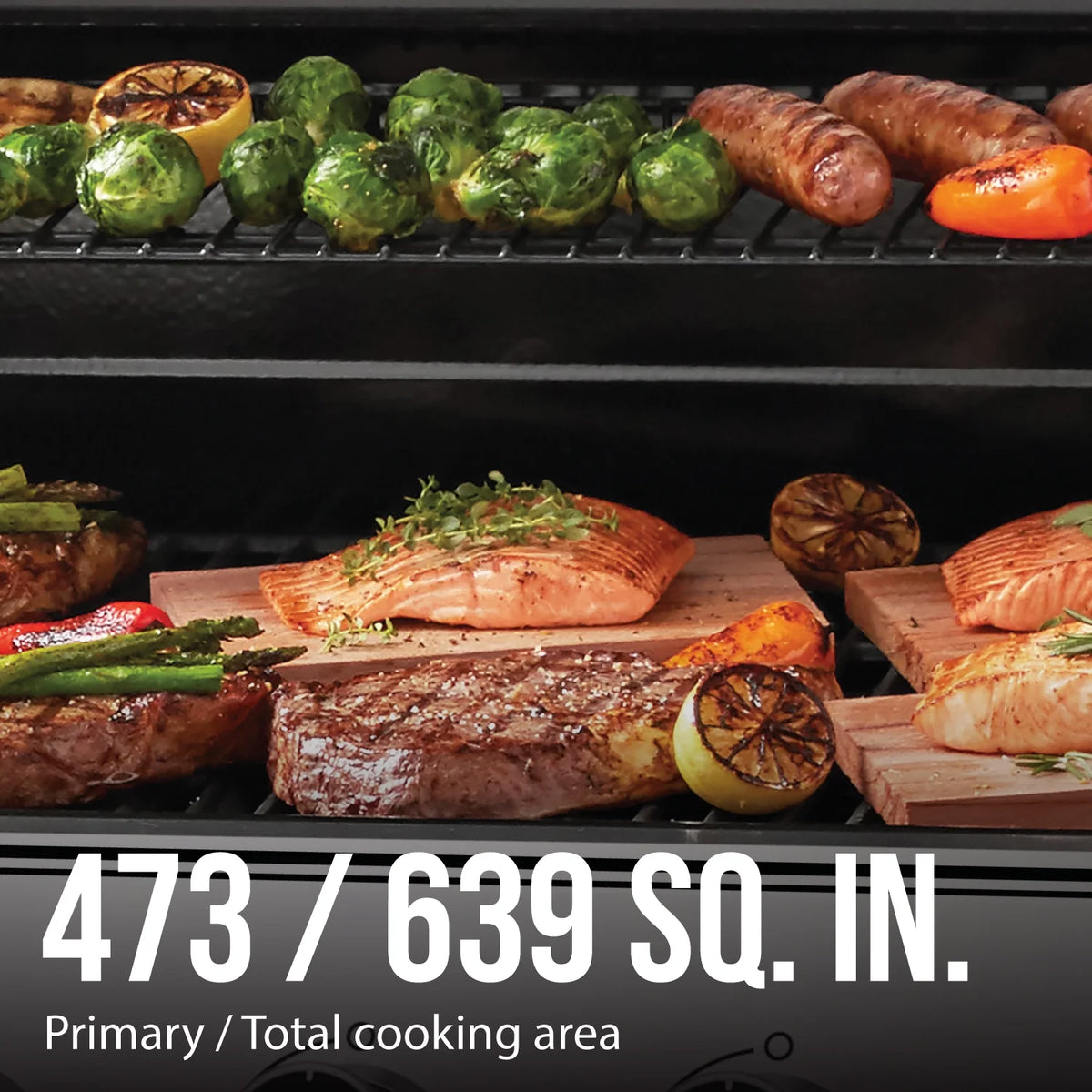 Expert Grill 5 Burner Propane Gas Grill with Side Burner