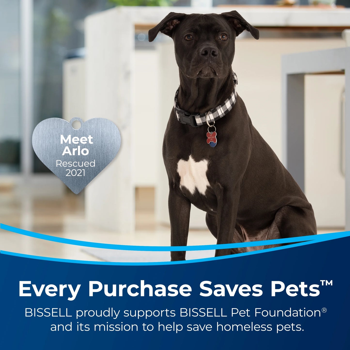 BISSELL CrossWave Hard Floor Expert, Corded, Multi-Surface Hard Floor Cleaner, Wet Dry Vacuum, for Tile, Sealed Wood Floors, and Laminate, Lightweight, Two Tank Technology, Self Cleaning Cycle, 3831