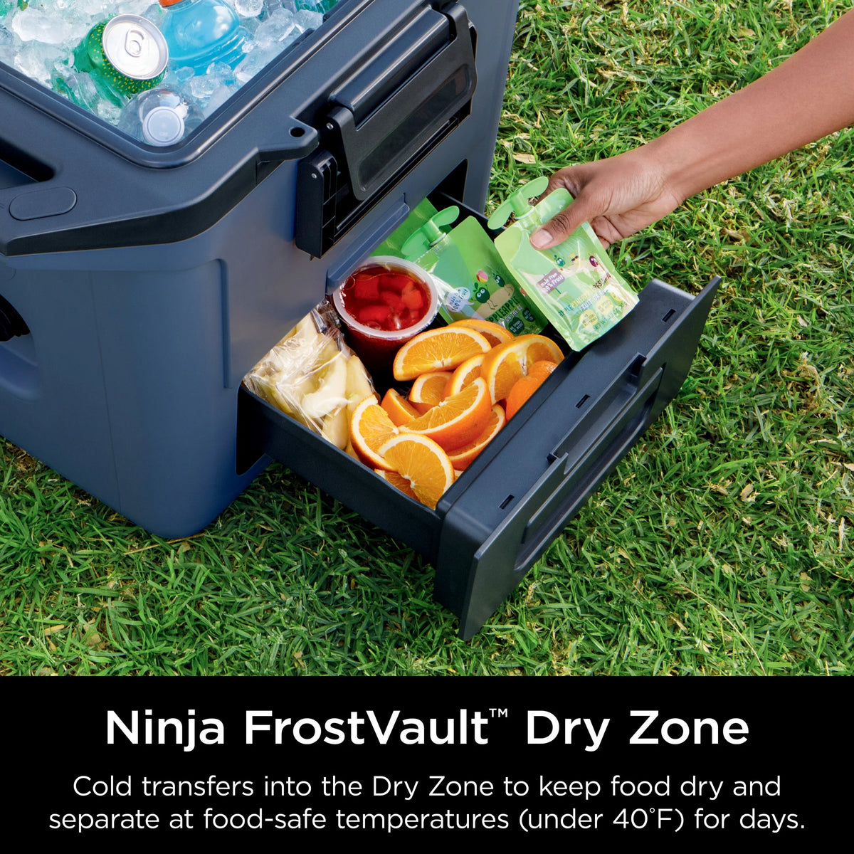 Ninja FrostVault 30qt Hard Cooler with Dry Zone, Ice Chest Cooler, White, FB131WH