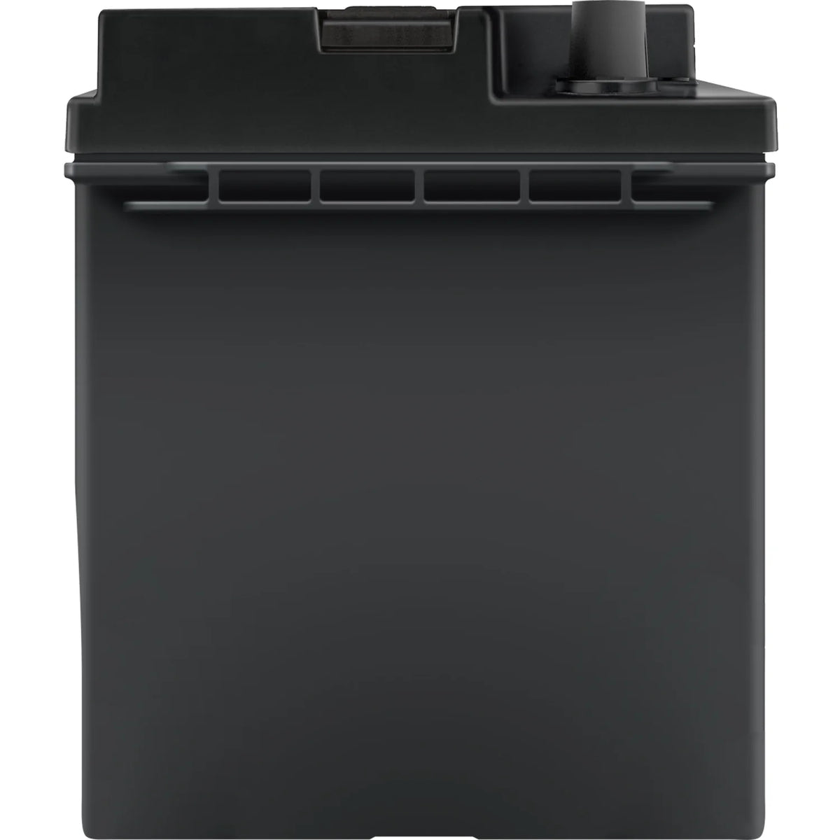 EverStart Plus Lead Acid Automotive Battery, Group Size 96R 12 Volt, 590 CCA