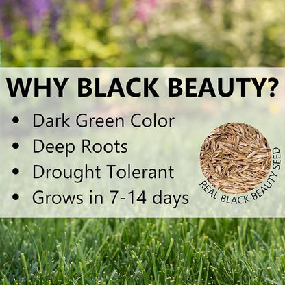 Jonathan Green 10323 Black Beauty Ultra Grass Seed Mix, 25 Pounds