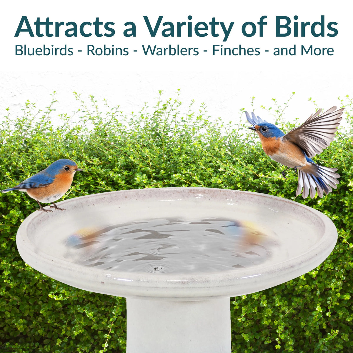Sunnydaze Freestanding Ceramic Outdoor Bird Bath, Glazed, UV-Resistant Galaxy Blue Finish