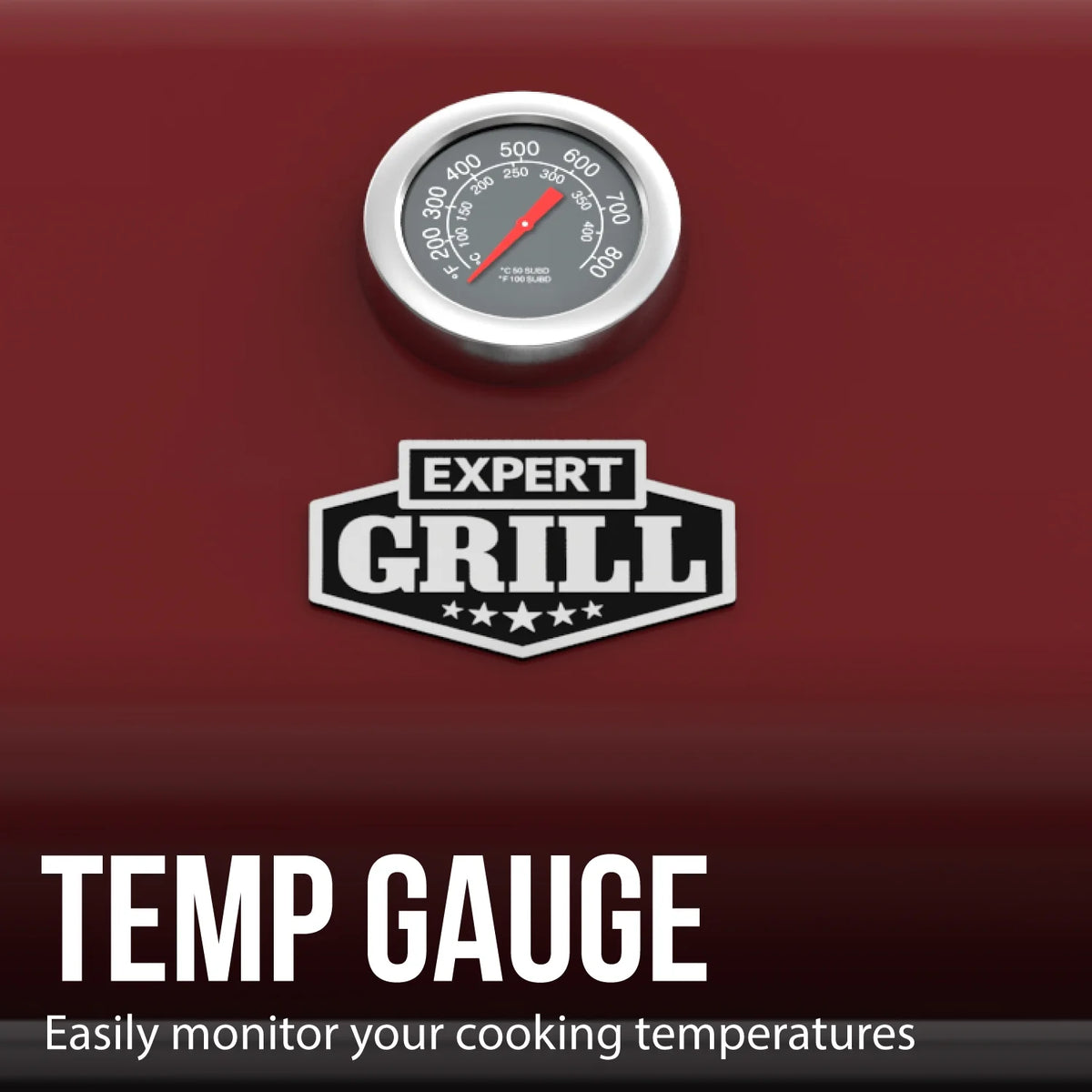 Expert Grill 5 Burner Propane Gas Grill with Side Burner