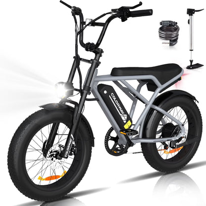 COLORWAY 750W 20"x4.0 Fat Tire Electric Bike, 48V 15Ah Battery, Off-road E-Bike for Adults, UL2849 Certified