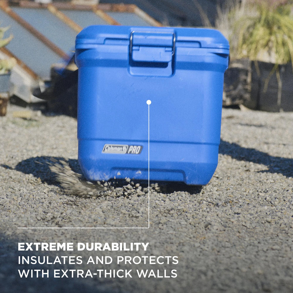 Coleman® Pro 25-Quart Hard Cooler
