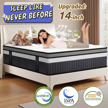 Queen Size Mattress in a Box, 14 Inch Gel Memory Foam Mattress for Cool Night & Pressure Relief, Medium Plush Feel with Motion Isolating, Breathable Fabric