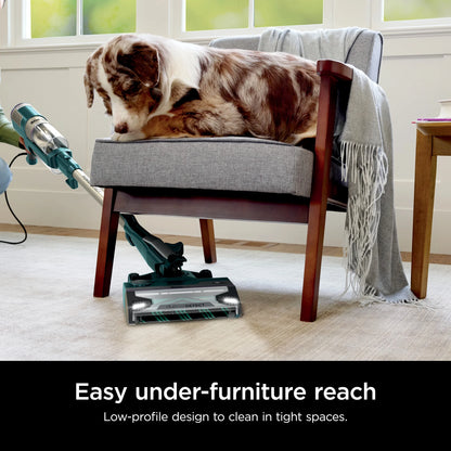 Shark POWERDETECT Corded Stick Vacuum, DuoClean & Odor Neutralizer Technology