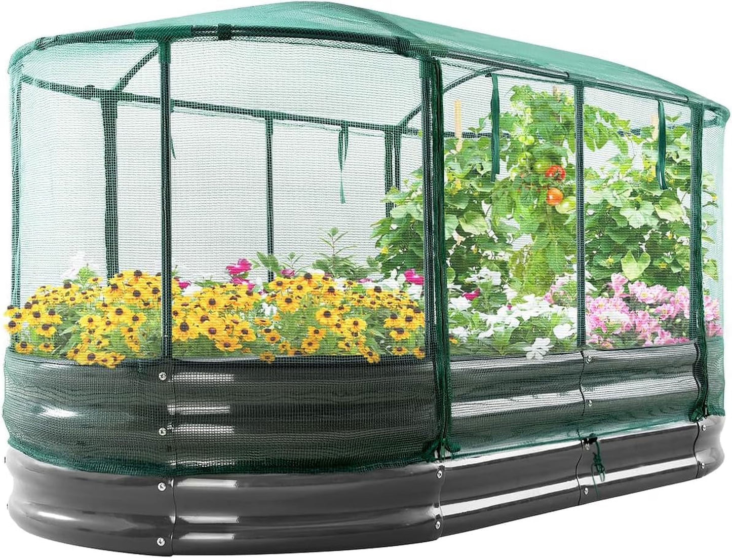 Quictent 8x3x1 ft Galvanized Raised Garden Bed Kit with Self Watering System and Mesh Cover, Large Oval Metal Outdoor Planter Garden Boxes for Vegetables Herbs Flowers