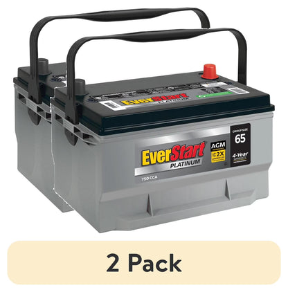 EverStart Platinum AGM Battery, Group Size 65