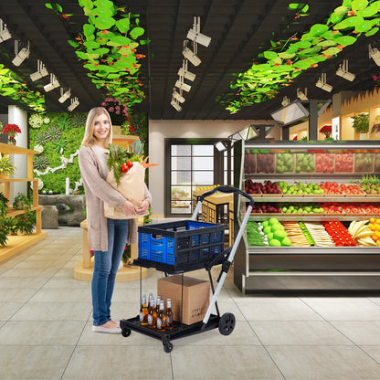 Garvee Foldable Shopping Cart for Groceries, 2-Tier Collapsible Utility Carts with Wheels & Removable Storage Crate, Aluminium & PP, Portable for Supermarket & Home Use
