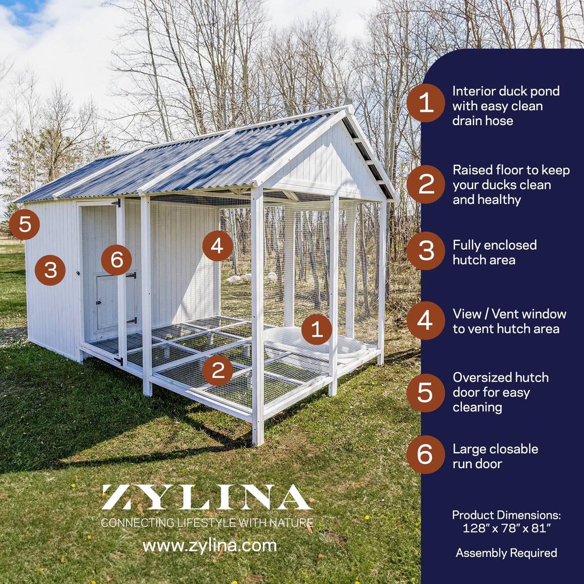 Zylina Modern Duck Barn - Duck Coop