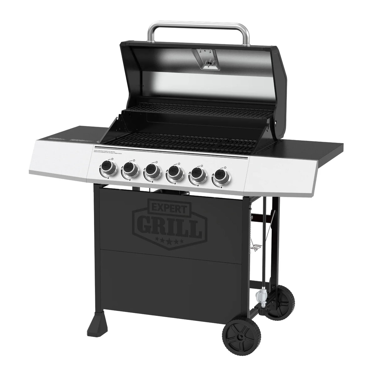 Expert Grill 5 Burner Propane Gas Grill with Side Burner