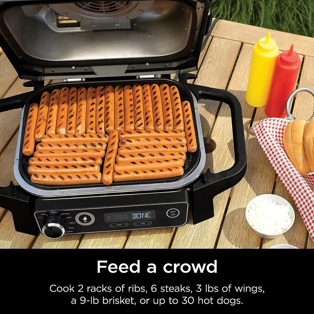 Ninja Woodfire Outdoor Grill and Smoker