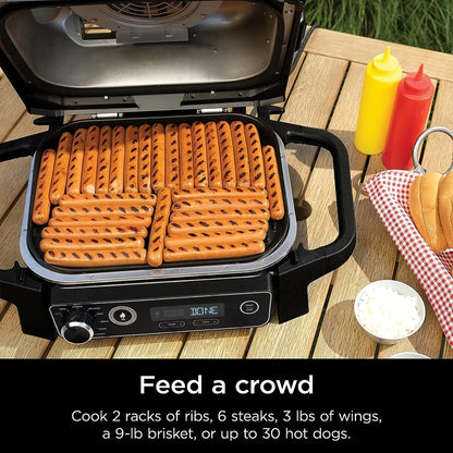 Ninja Woodfire Outdoor Grill and Smoker