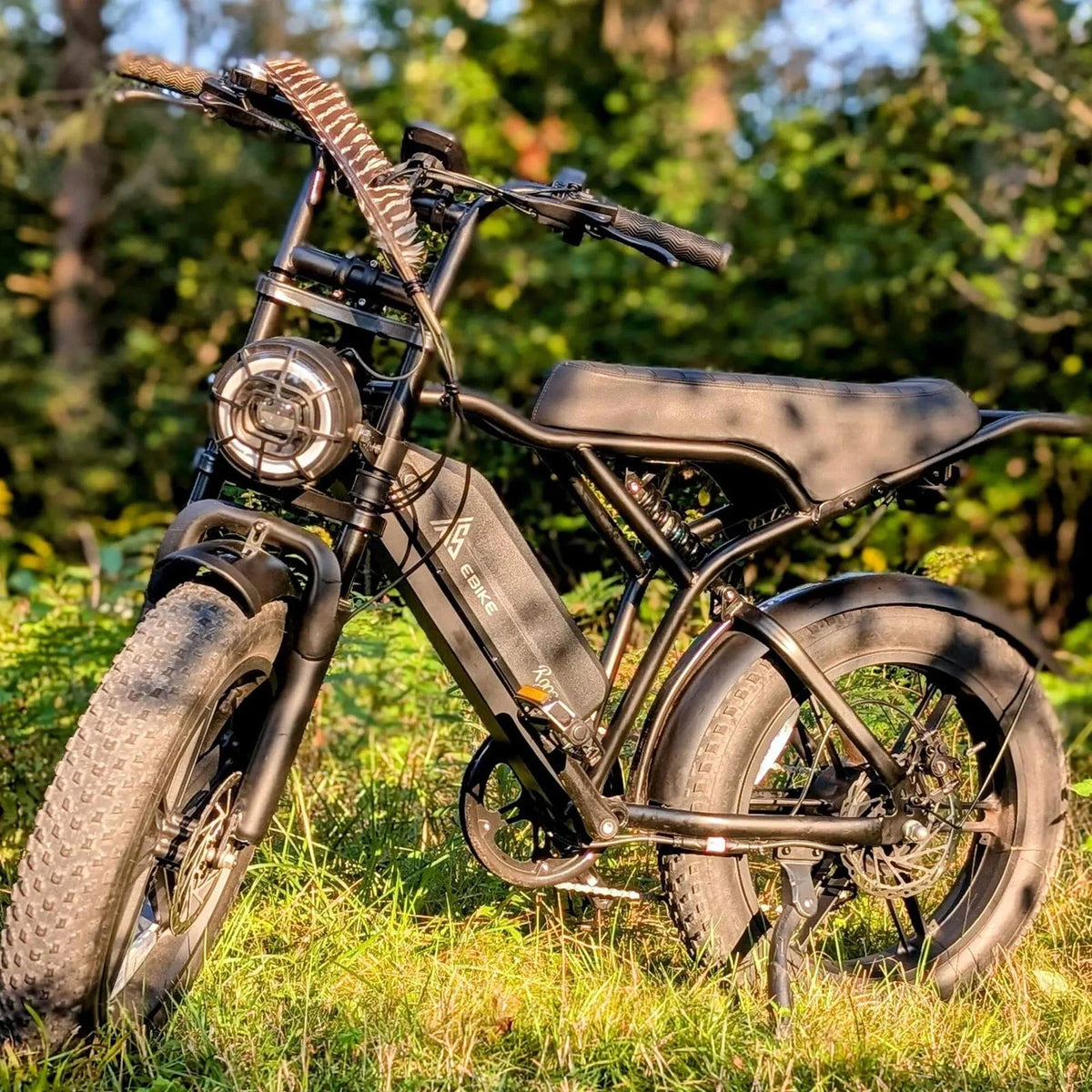 Electric Bike for Adults, 750W Peak 1500W Motor, 20"x4" Fat Tire E Bicycle, Hydraulic Disc Brakes, E Mountain Bike, 48V/15AH UL2849, App Control