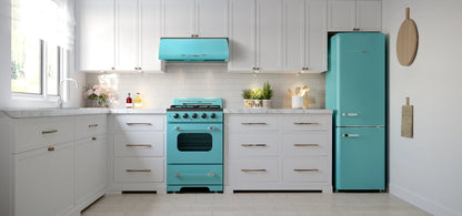 Unique Classic Retro 24" 2.9 cu/ft Freestanding Gas Range with Convection Oven and Sealed Burners
