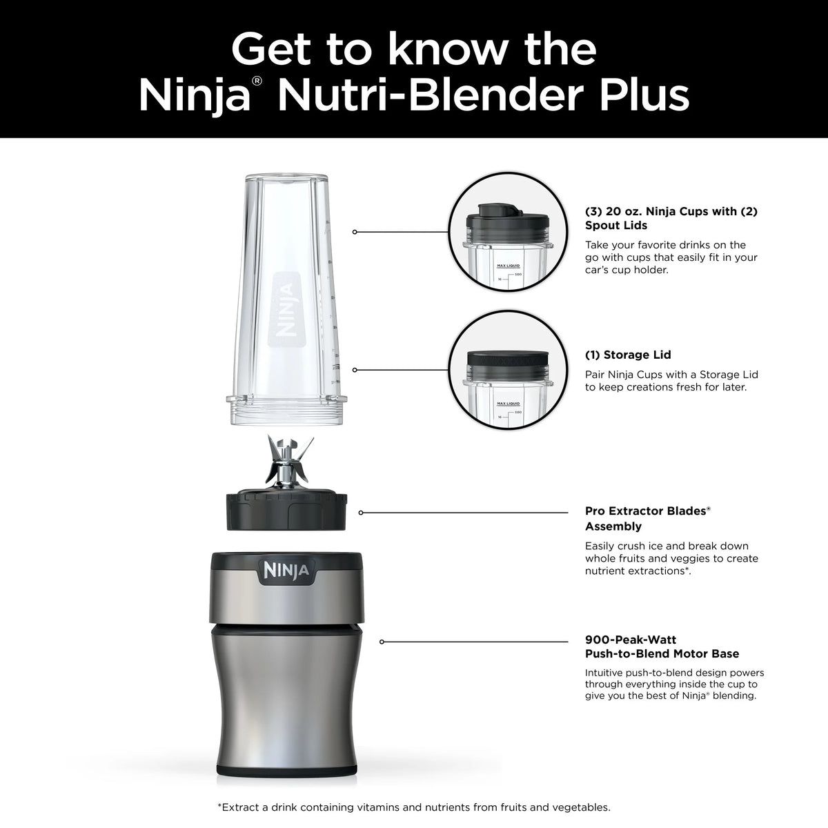 Ninja?  Nutri-Blender Plus