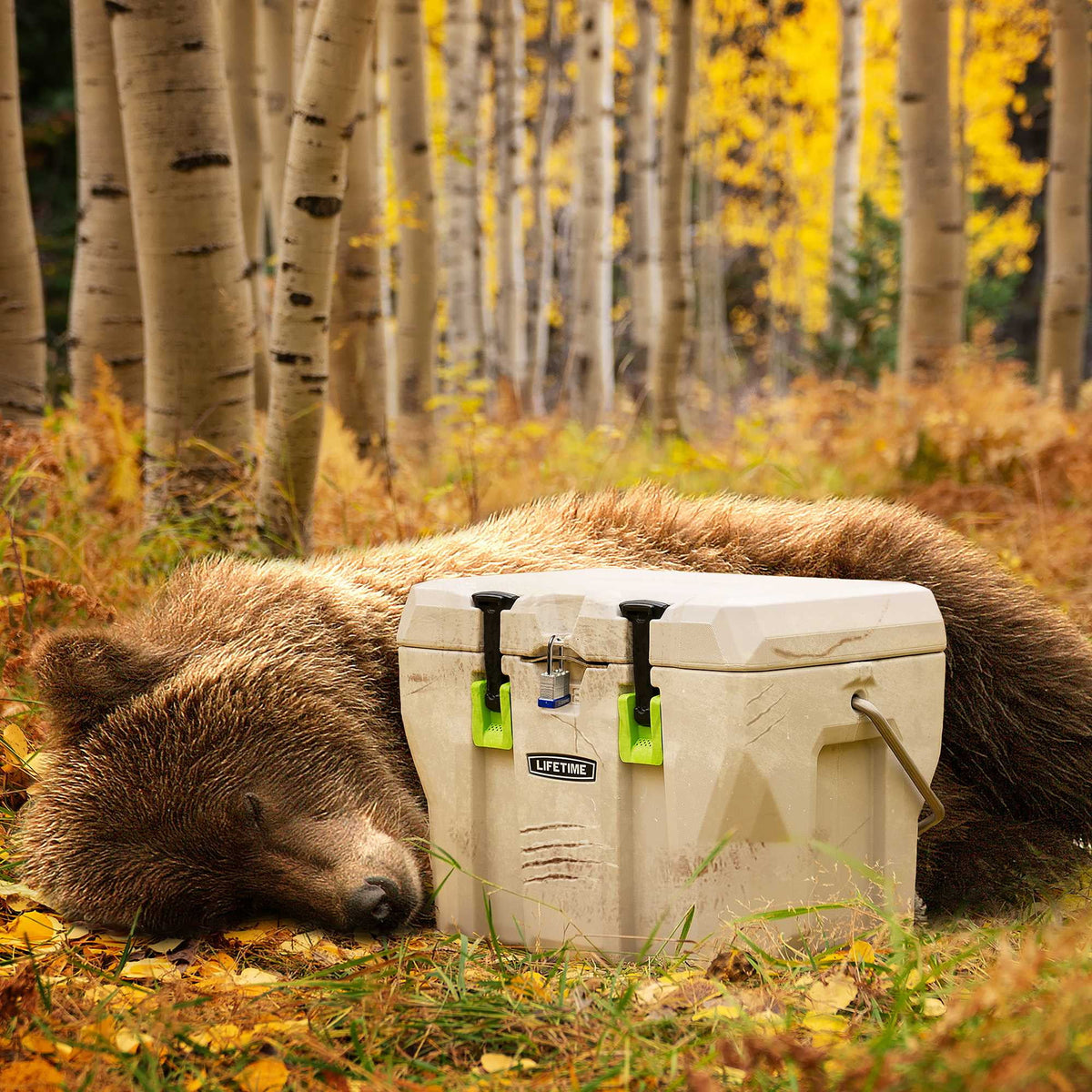 Lifetime 28 qt Bear-Resistant Camping Cooler, Premium High Performance, Ice Retention, Hard Cooler, 20 Can Capacity, Boulder Gray (91289)
