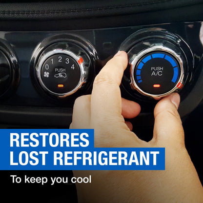 EZ Chill R-134a Auto AC Recharge Kit with Leak Sealer Plus - 18 OZ