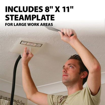 Wagner 715 Power Steamer, Wallpaper Removal With Chemical Free Steam