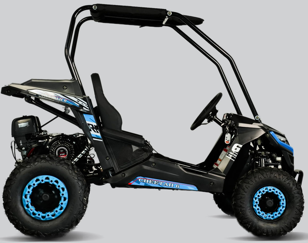 TrailMaster Cheetah 6 Youth Go-Kart - 163cc 5.5HP Engine, 4-Point Safety Belt, Remote Kill, Speed Governor, Suitable for Kids 6-12. with Pre-Assembled Version Now! (Pre-Assembled, Blue)
