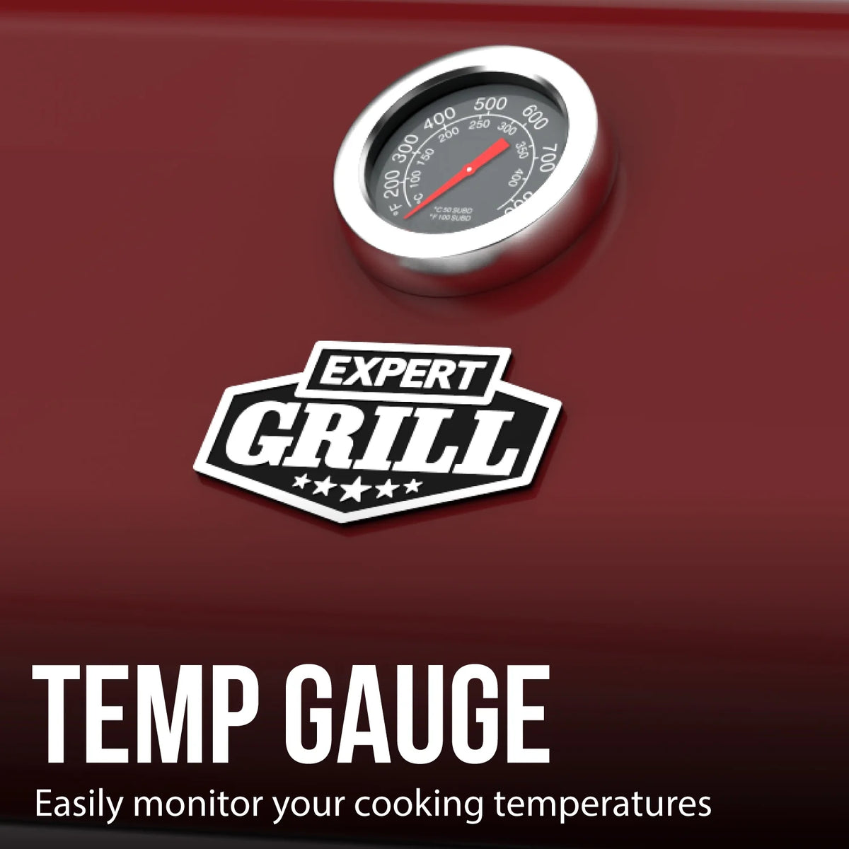 Expert Grill 4 Burner with Side Burner Propane Gas Grill in Blue