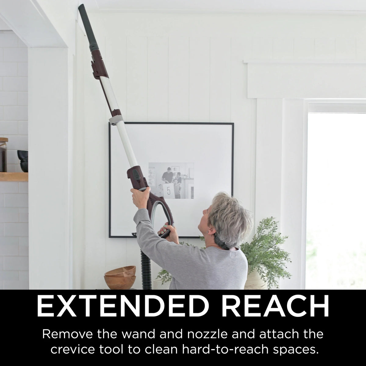 Shark® Rotator® Powered Lift-Away® TruePet® Upright Vacuum