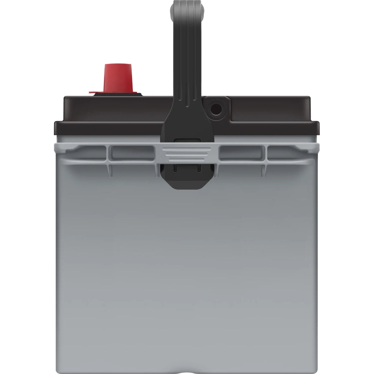 EverStart Platinum AGM Automotive Battery, Group Size 24F 12 Volt, 710 CCA