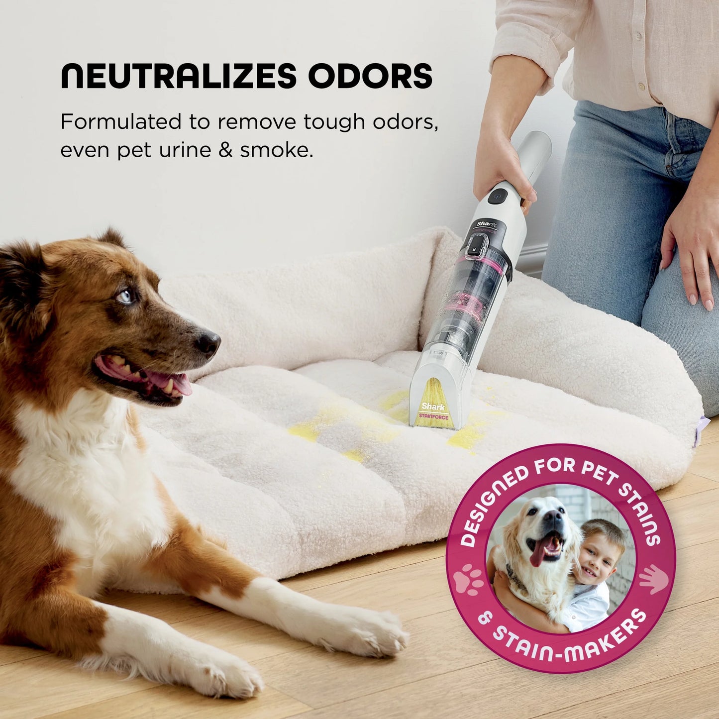 Shark StainForce Cordless Portable Spot, Stain, & Odor Remover System for Carpets, Area Rugs, Upholstery, Stairs, Cars, with Storage Caddy, and Full-Size Cleaning Solution, White, HX100
