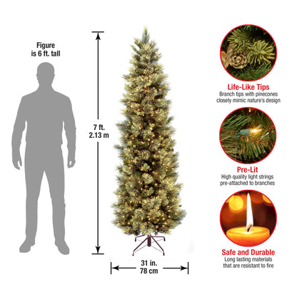 9 ft Pre-Lit Carolina Pine Slim Artificial Christmas Tree with 800 Clear Lights, Slim Profile