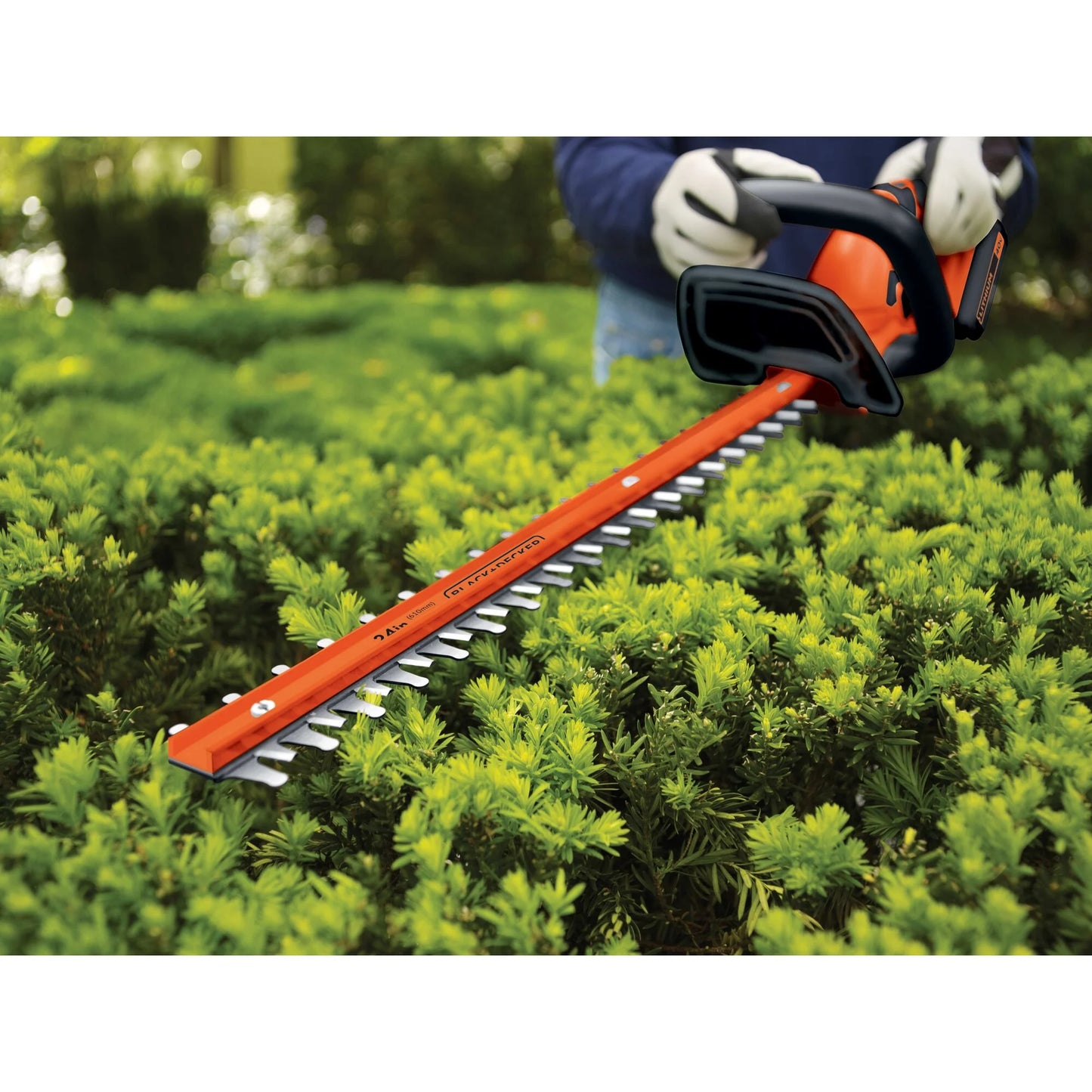 BLACK+DECKER 40V MAX* Cordless Hedge Trimmer, 24-Inch, (LHT2436)