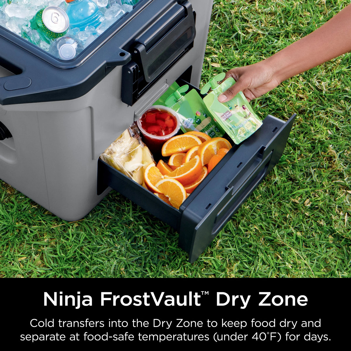 Ninja FrostVault 30qt Hard Cooler with Dry Zone, Ice Chest Cooler, White, FB131WH
