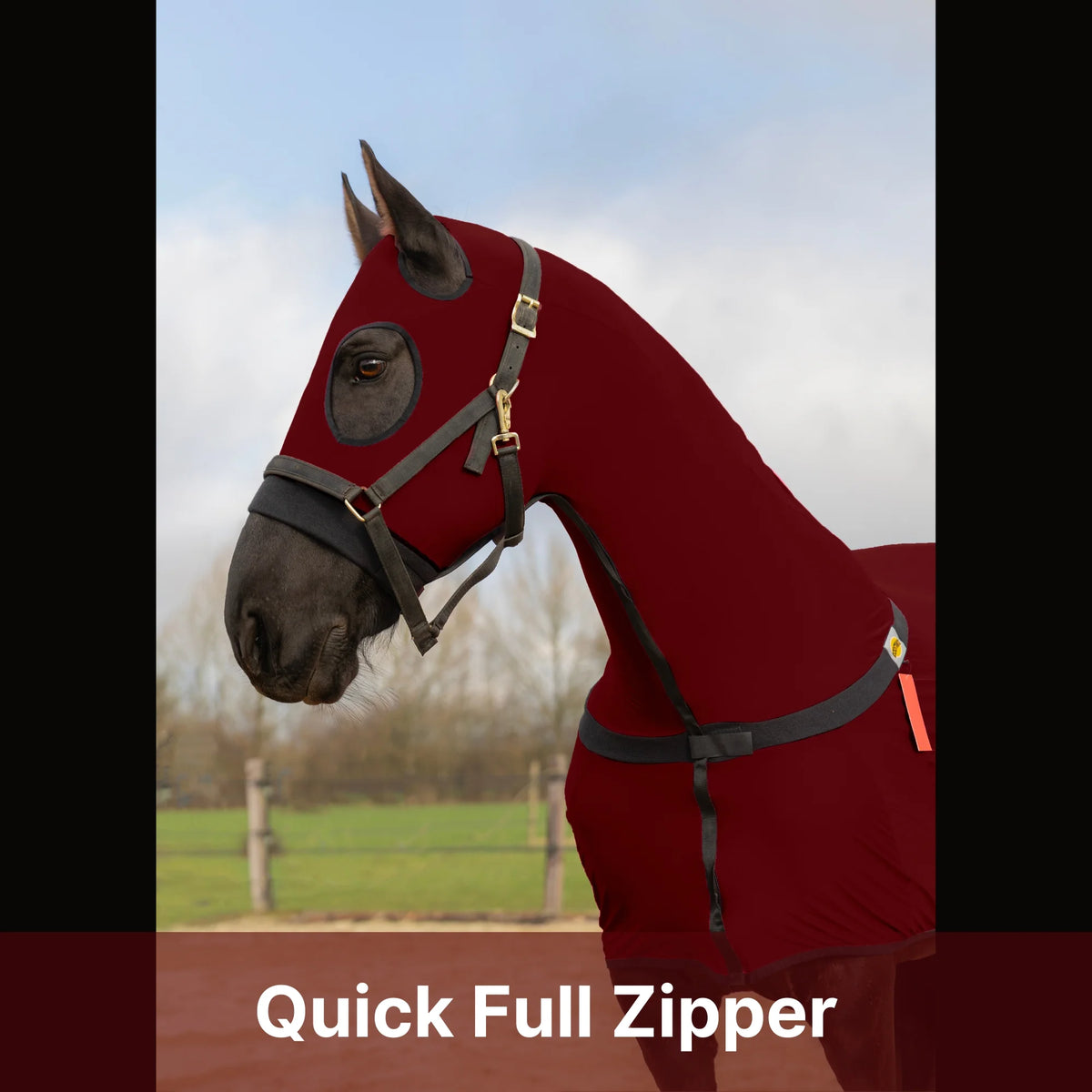 RESISTANCE Horse Full Body Slinky with Full Zipper Face - Lycra Material - available in 11 colors