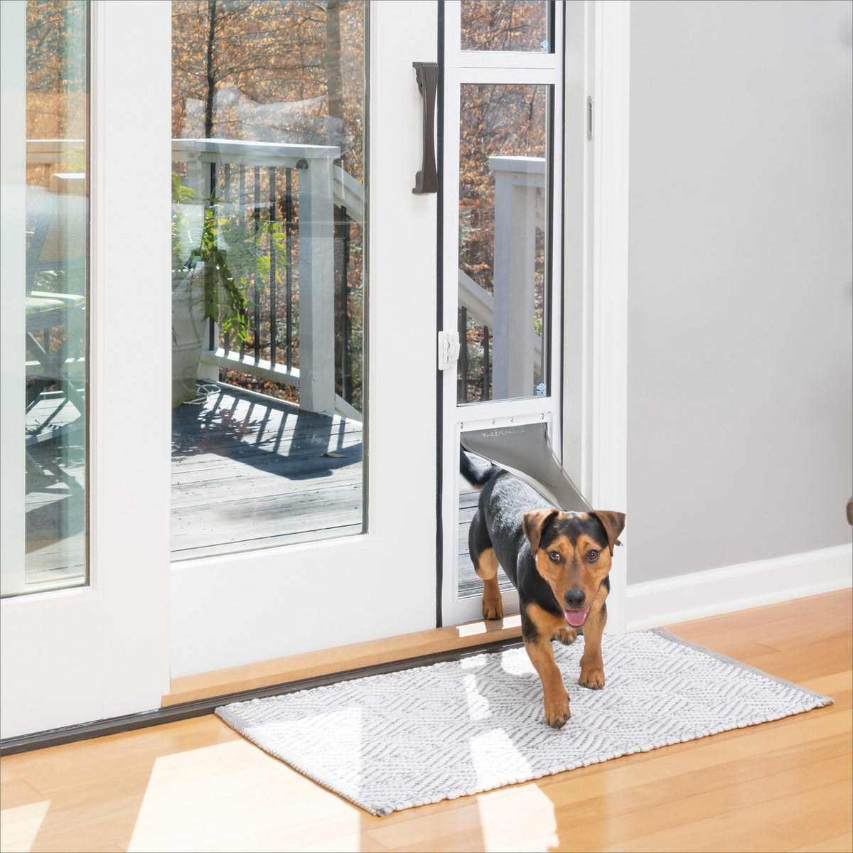 PetSafe Sliding Glass Pet Door, 2-Piece, Small