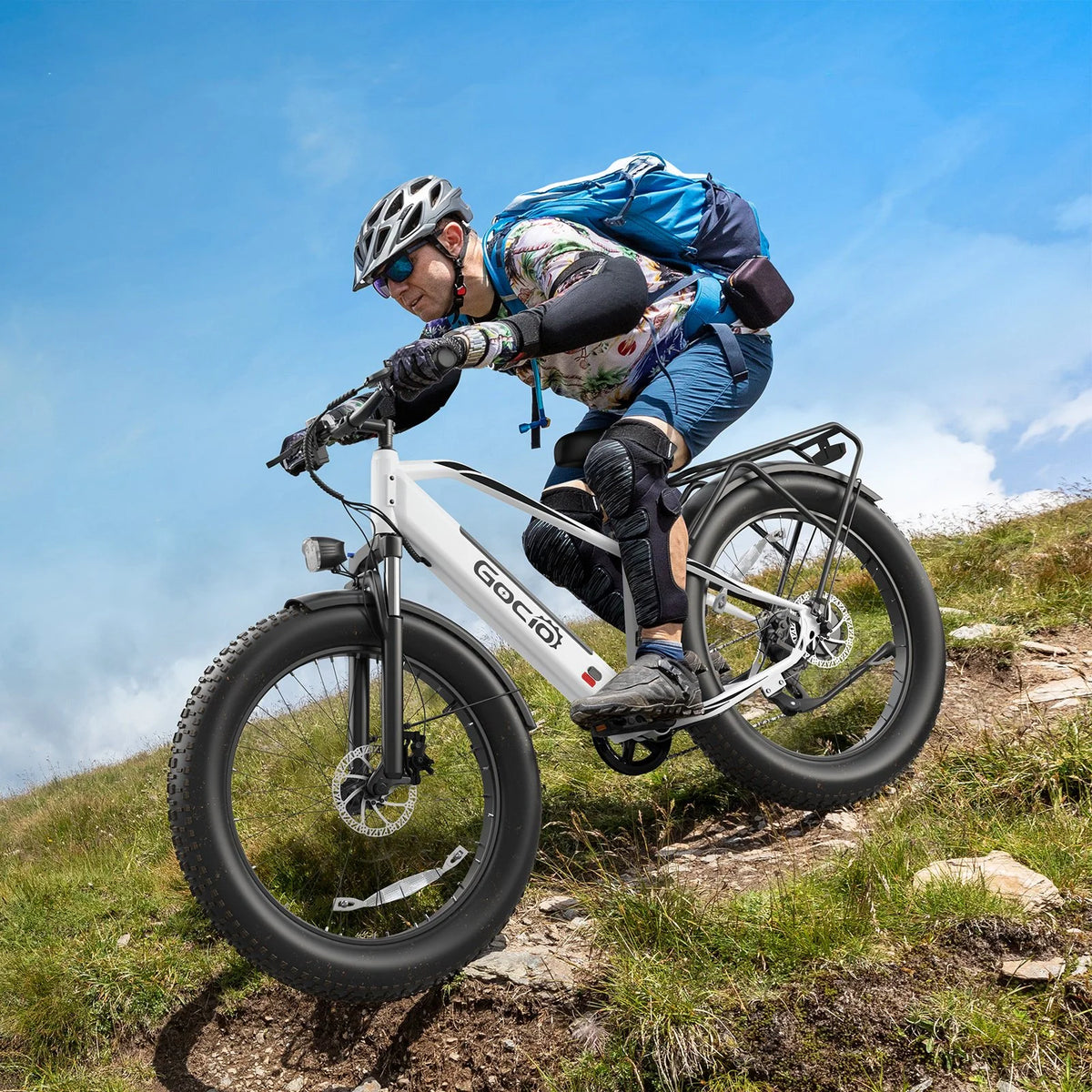 Gocio Electric Bike, 26"x4.0" Fat Tire E-Mountain Bike, Peak 1000W Motor, 28MPH 48V 15Ah Battery Removable Ebike for off Road, Sand, UL2849