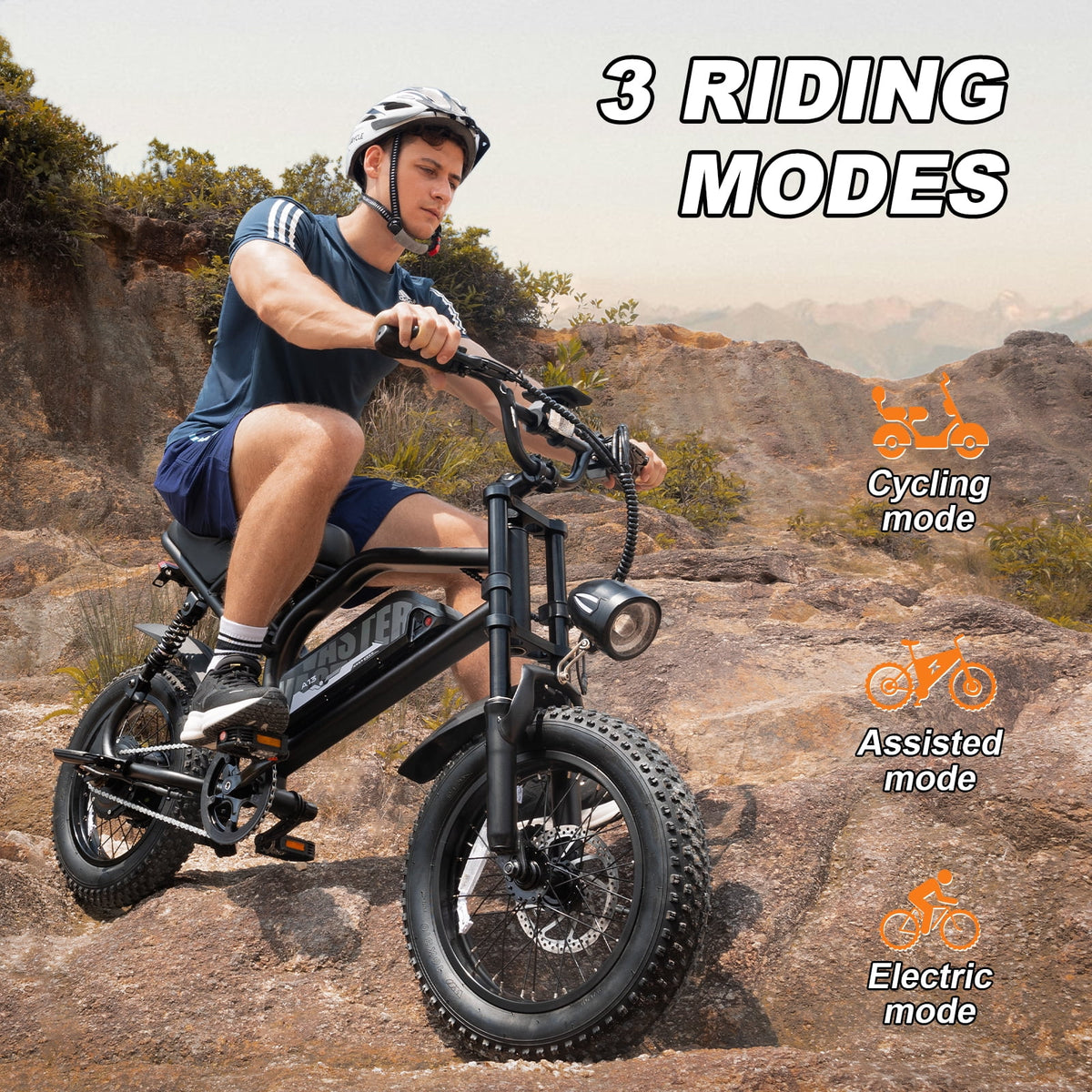 AVDL Electric Bike,16" Fat Tire Ebike,500W Motor,48V 12Ah Removable Battery,4x Suspension,38 Miles Pure Electric,55 Miles Pedal