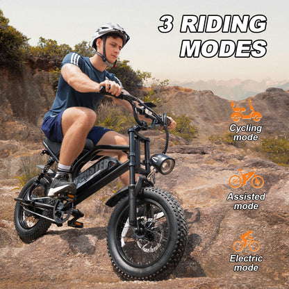 AVDL Electric Bike,16" Fat Tire Ebike,500W Motor,48V 12Ah Removable Battery,4x Suspension,38 Miles Pure Electric,55 Miles Pedal