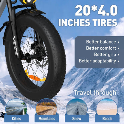 COLORWAY 750W 20"x4.0 Fat Tire Electric Bike, 48V 15Ah Battery, Off-road E-Bike for Adults, UL2849 Certified