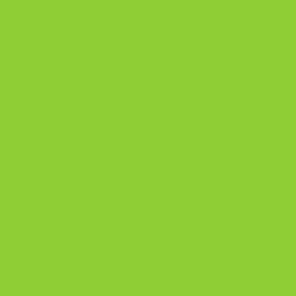 Lifetime Guster 10 Sit-Inside Kayak- Lime Green (90527)