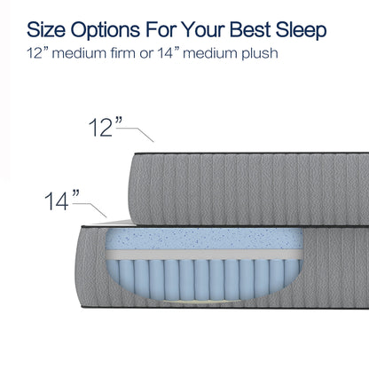 Cole & Rye ArticSky 12" Premium Hyper Cooling Gel Memory Foam Hybrid Mattress with Bonus Pillows, Queen