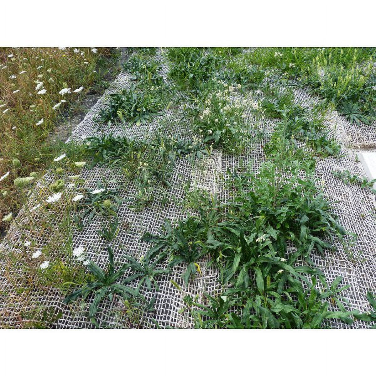 Farm Plastic Supply - Jute Erosion Control Matting - 4' x 225'
